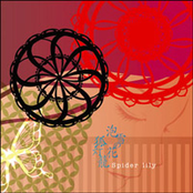 泡雪の花／狐灯籠