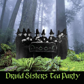 druid sisters tea party