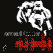 around the fur