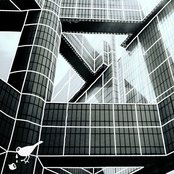 Cole Knight: Like That