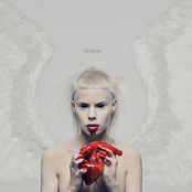 Die Antwoord: Ten$ion