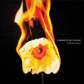 Caramelos De Cianuro: Flor de Fuego