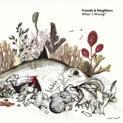 Friends & Neighbors: What's Wrong?