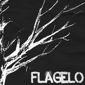 Flagelo