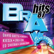 BRAVO Hits 87