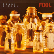 Terri Binion: Fool