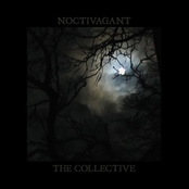 The Collective I