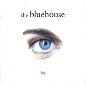 Despair by The Bluehouse