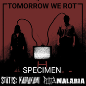 Tomorrow We Rot