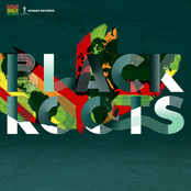 Militancy by Black Roots