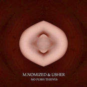 No Pussy Thieves