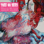 Everything Went Black by Thee Oh Sees