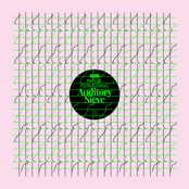 Auditory Sieve