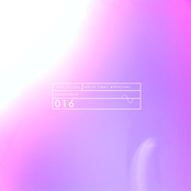 white tiger phantoms