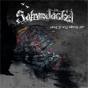 Part I: The Shape Of...