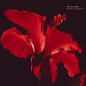 Bloodhoney Triggerbee