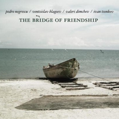 The Bridge Of Friendship
