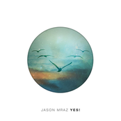 Shine by Jason Mraz