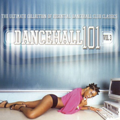 Dancehall 101 Vol. 3