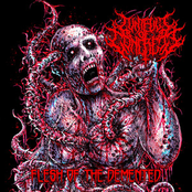 Flesh Of The Demented