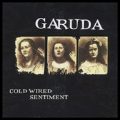 Cold Wired Sentiment