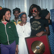 The Wailers Band