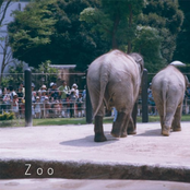 ZOO