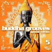 Buddha Grooves Vol. 5 Special Edition