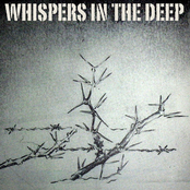 Whispers in the Deep