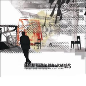 Low Fares Space Lines