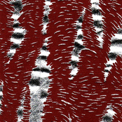 Twelve Faces Of The Smoke Mask