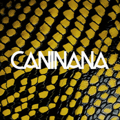 Caninana