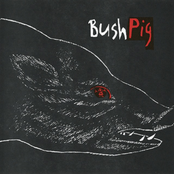 Bushpig EP