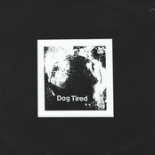 A Bone To Pick With The World