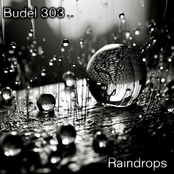 Raindrops