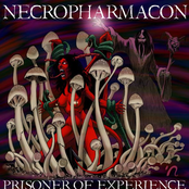 Prisoner Of Experience (EP)