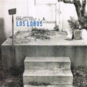 Be Still by Los Lobos