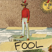 Fool