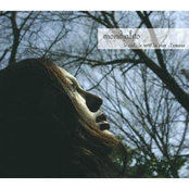 Le Ciel, Le Vent, La Mer, L'amour