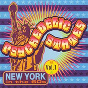 Psychedelic States: New York In The 60s Vol 1
