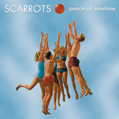 Peace Of Sunshine