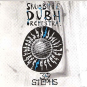 Precious Days by Skuobhie Dubh Orchestra