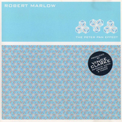I Just Want To Dance by Robert Marlow