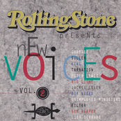 Rolling Stone New Voices Vol. 2