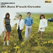 Throbbing Gristle - 20 Jazz Funk Greats Artwork