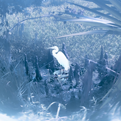 Youth and Beuaty - EP