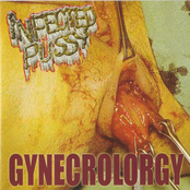 Gynecrology