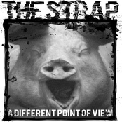 A Different Point Of View...A Different Point of You