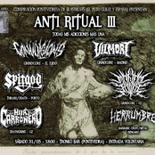 Anti Ritual III, Tronko Bar 31.05.2025
