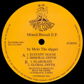 Mixed Biscuit E.P.